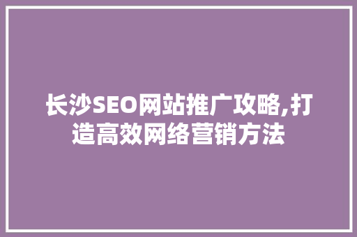 长沙SEO网站推广攻略,打造高效网络营销方法