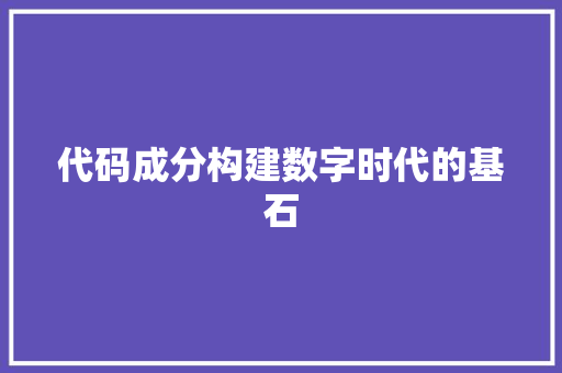 代码成分构建数字时代的基石