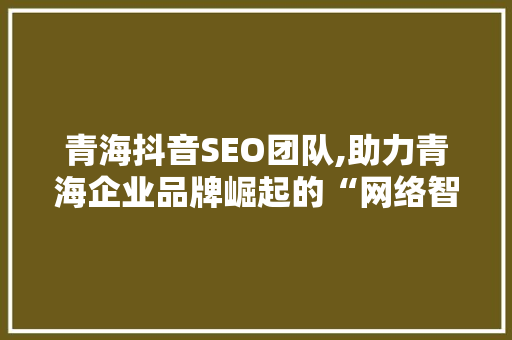 青海抖音SEO团队,助力青海企业品牌崛起的“网络智囊”