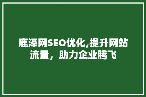 鹿泽网SEO优化,提升网站流量，助力企业腾飞