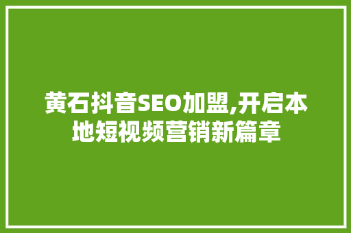 黄石抖音SEO加盟,开启本地短视频营销新篇章
