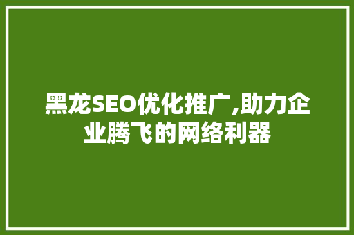 黑龙SEO优化推广,助力企业腾飞的网络利器