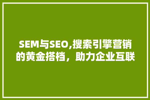 SEM与SEO,搜索引擎营销的黄金搭档，助力企业互联网发展