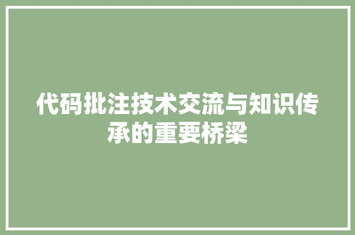 代码批注技术交流与知识传承的重要桥梁