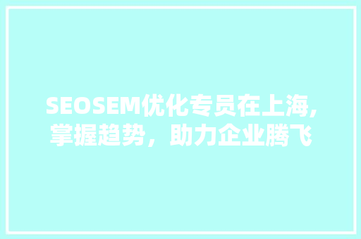 SEOSEM优化专员在上海,掌握趋势，助力企业腾飞