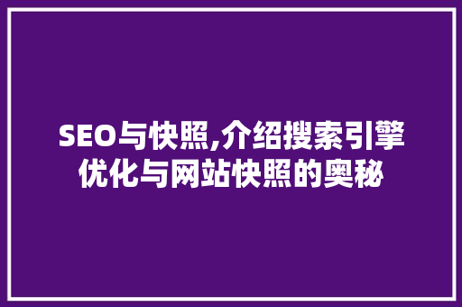 SEO与快照,介绍搜索引擎优化与网站快照的奥秘
