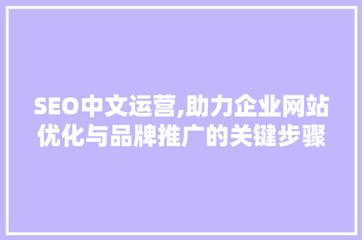 SEO中文运营,助力企业网站优化与品牌推广的关键步骤