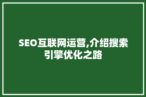 SEO互联网运营,介绍搜索引擎优化之路