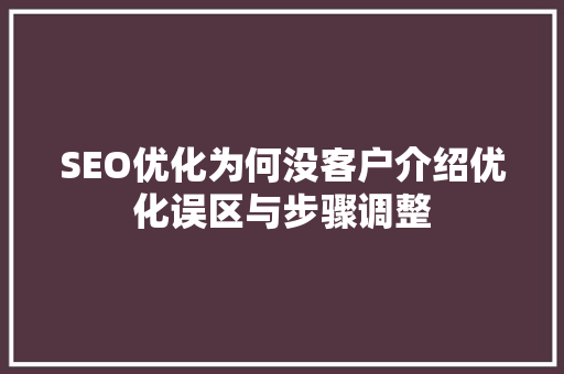 SEO优化为何没客户介绍优化误区与步骤调整