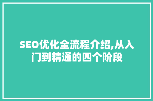 SEO优化全流程介绍,从入门到精通的四个阶段