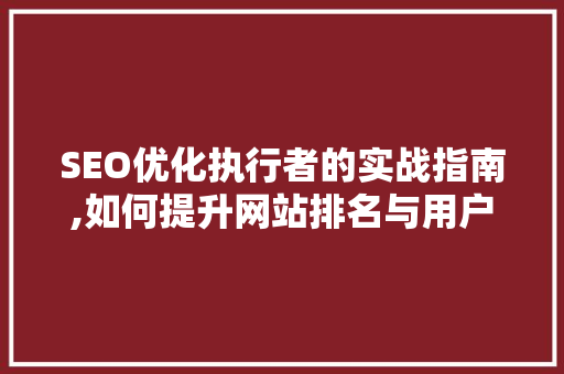 SEO优化执行者的实战指南,如何提升网站排名与用户体验