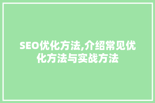 SEO优化方法,介绍常见优化方法与实战方法