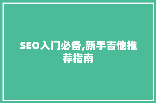SEO入门必备,新手吉他推荐指南
