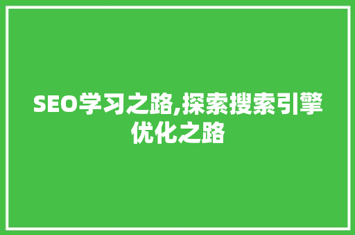 SEO学习之路,探索搜索引擎优化之路