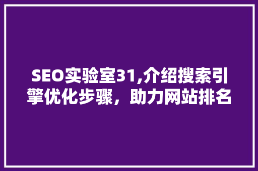 SEO实验室31,介绍搜索引擎优化步骤，助力网站排名提升  第1张