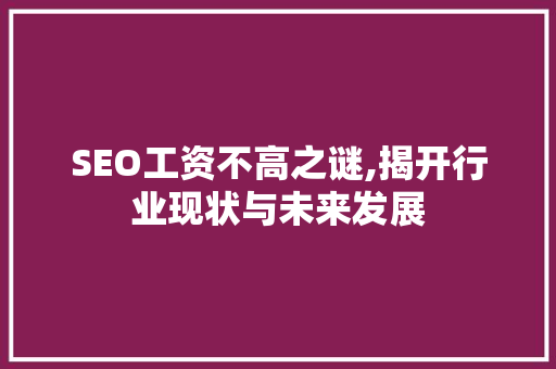 SEO工资不高之谜,揭开行业现状与未来发展