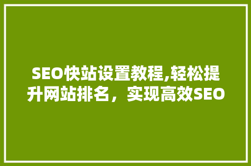 SEO快站设置教程,轻松提升网站排名，实现高效SEO优化