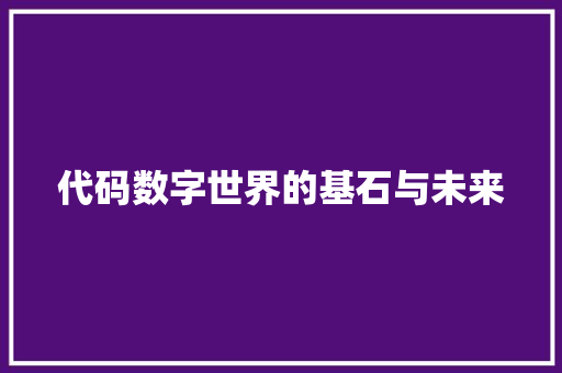 代码数字世界的基石与未来