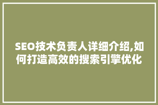SEO技术负责人详细介绍,如何打造高效的搜索引擎优化步骤