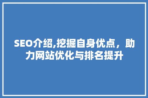 SEO介绍,挖掘自身优点，助力网站优化与排名提升