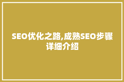 SEO优化之路,成熟SEO步骤详细介绍