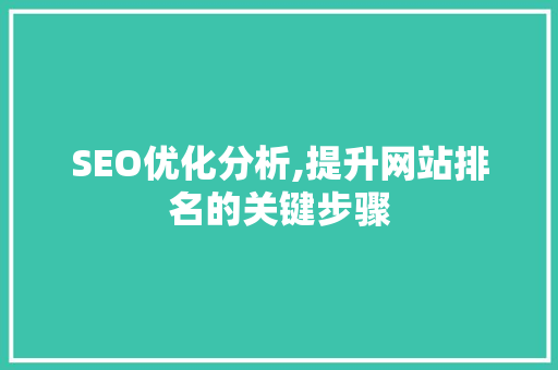 SEO优化分析,提升网站排名的关键步骤