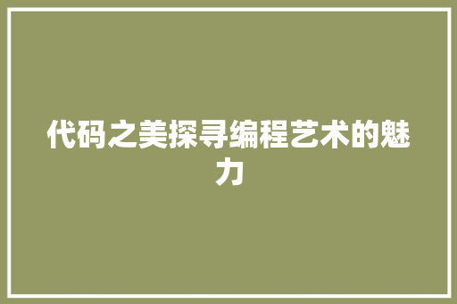 代码之美探寻编程艺术的魅力