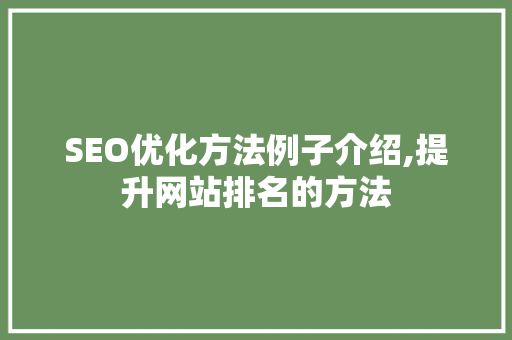 SEO优化方法例子介绍,提升网站排名的方法