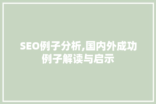 SEO例子分析,国内外成功例子解读与启示