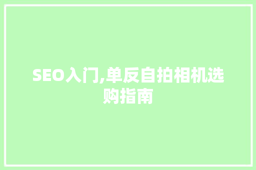 SEO入门,单反自拍相机选购指南