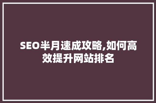 SEO半月速成攻略,如何高效提升网站排名