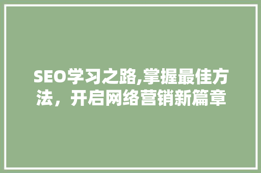 SEO学习之路,掌握最佳方法，开启网络营销新篇章
