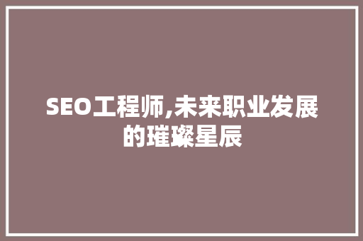SEO工程师,未来职业发展的璀璨星辰