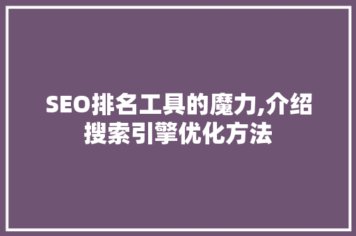 SEO排名工具的魔力,介绍搜索引擎优化方法