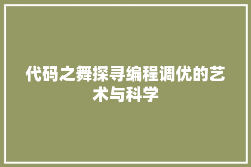 代码之舞探寻编程调优的艺术与科学