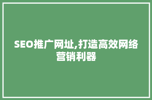 SEO推广网址,打造高效网络营销利器  第1张