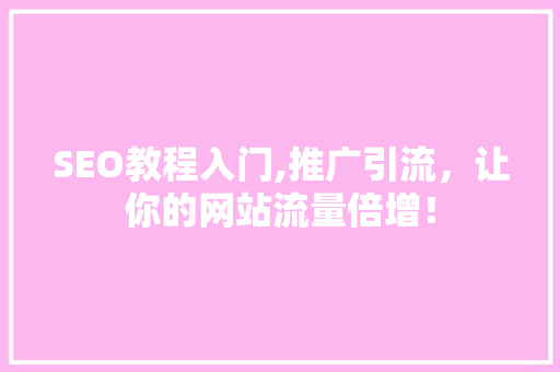 SEO教程入门,推广引流，让你的网站流量倍增！