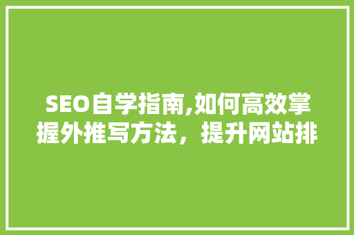 SEO自学指南,如何高效掌握外推写方法，提升网站排名