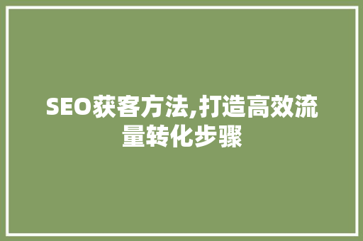 SEO获客方法,打造高效流量转化步骤