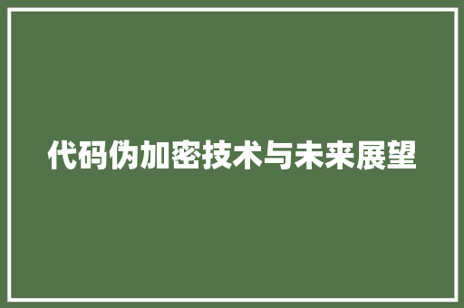 代码伪加密技术与未来展望