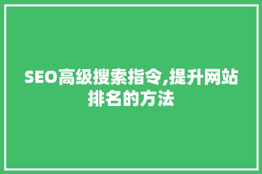 SEO高级搜索指令,提升网站排名的方法