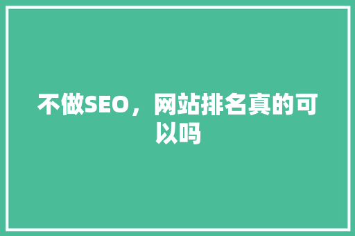 不做SEO，网站排名真的可以吗