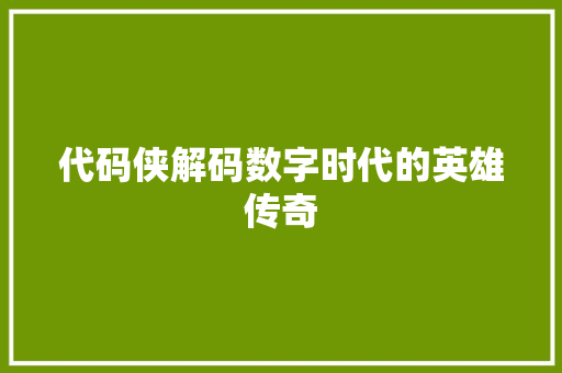 代码侠解码数字时代的英雄传奇