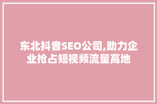 东北抖音SEO公司,助力企业抢占短视频流量高地