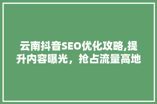 云南抖音SEO优化攻略,提升内容曝光，抢占流量高地