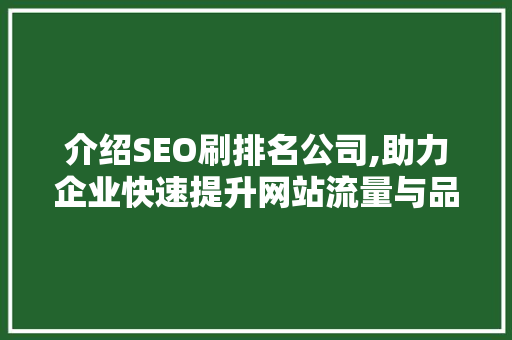 介绍SEO刷排名公司,助力企业快速提升网站流量与品牌知名度