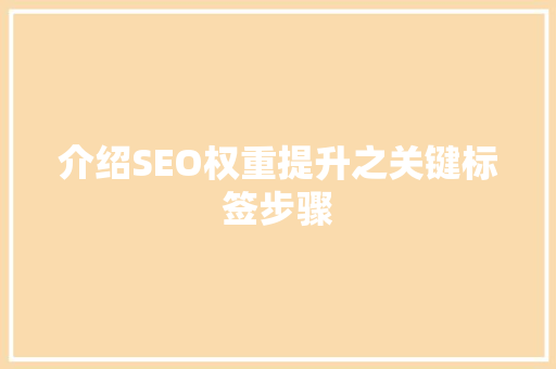 介绍SEO权重提升之关键标签步骤