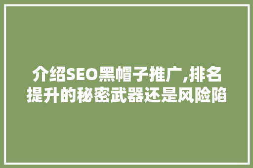 介绍SEO黑帽子推广,排名提升的秘密武器还是风险陷阱