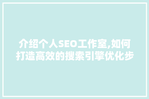 介绍个人SEO工作室,如何打造高效的搜索引擎优化步骤