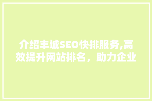 介绍丰城SEO快排服务,高效提升网站排名，助力企业腾飞